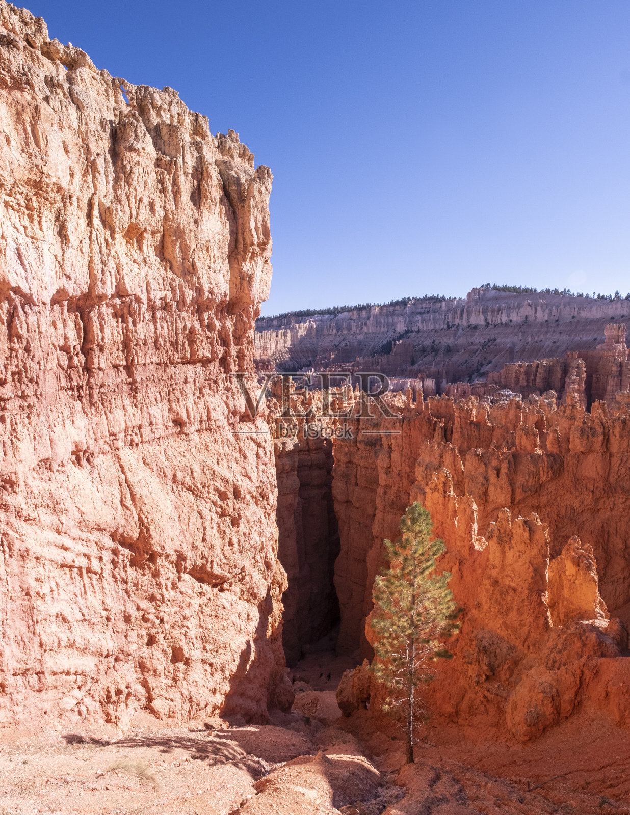 布莱斯国家公园照片摄影图片