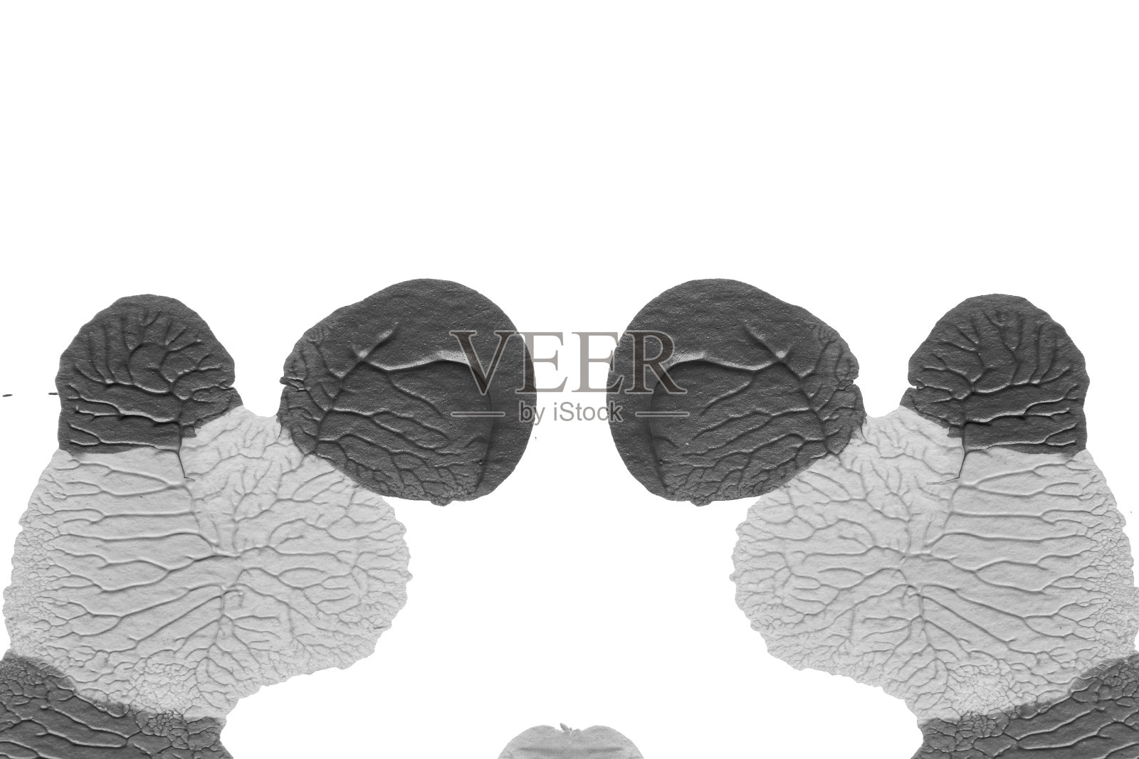 利用罗夏墨迹法在白纸背景上绘制黑白抽象丙烯画的色彩纹理照片摄影图片