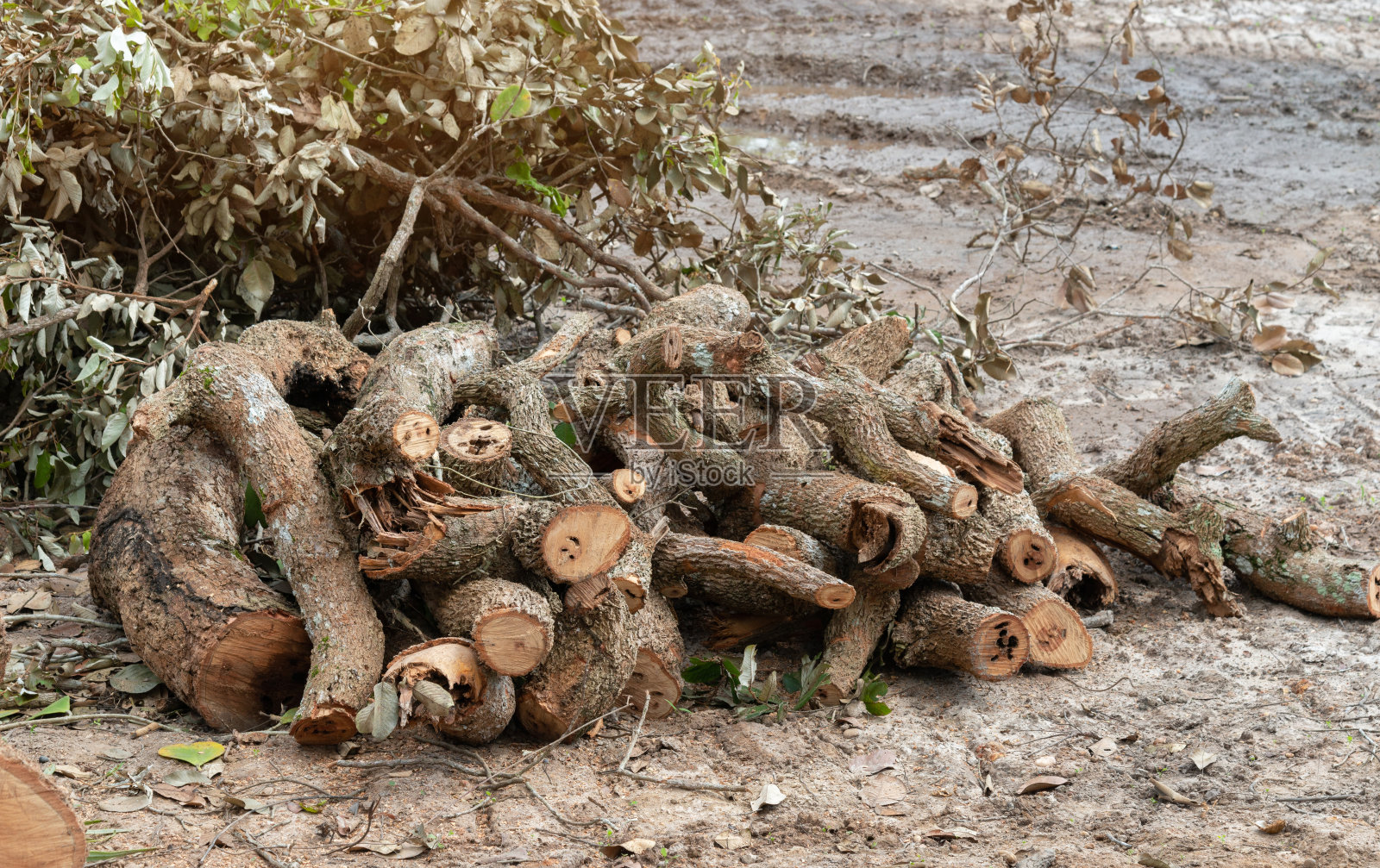 柴禾堆成一堆，用来给房子取暖;柴禾冬天采暖;劈柴堆成一堆，用来过冬的柴禾堆成一堆原木。照片摄影图片