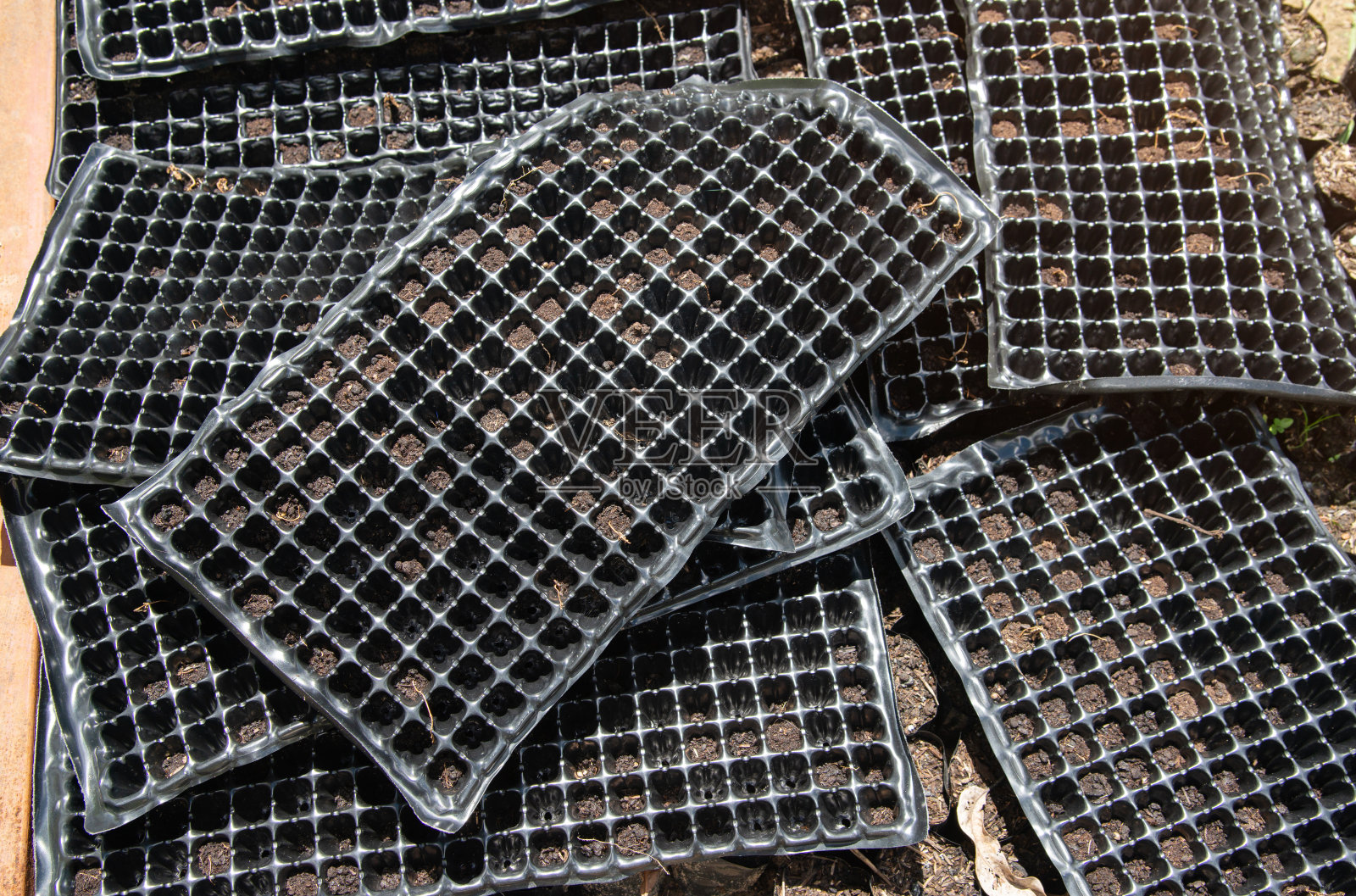 黑色播种盘，带有空的方形单元，空的和新的育苗盘用作种子生长盘。发芽托盘或苗圃托盘保持在地面上的空槽，以填土。照片摄影图片
