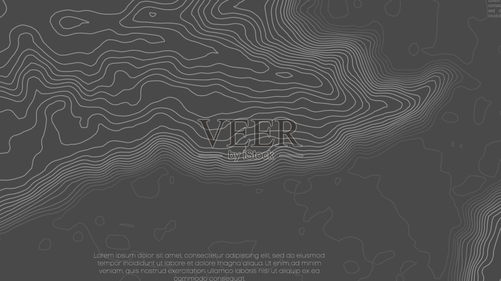 灰色等高线地形地理插画图片素材