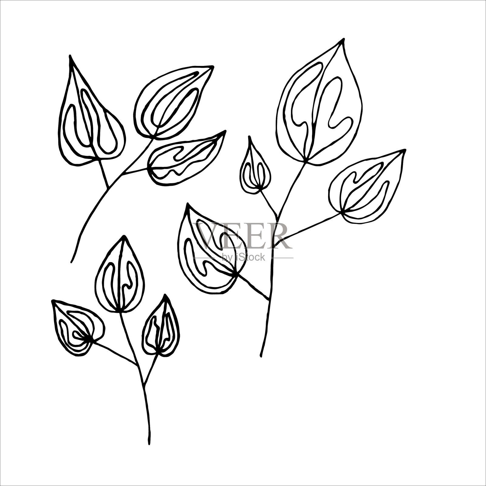 叶子在白色背景上孤立。连续的线条绘制，时尚现代的设计。插画图片素材