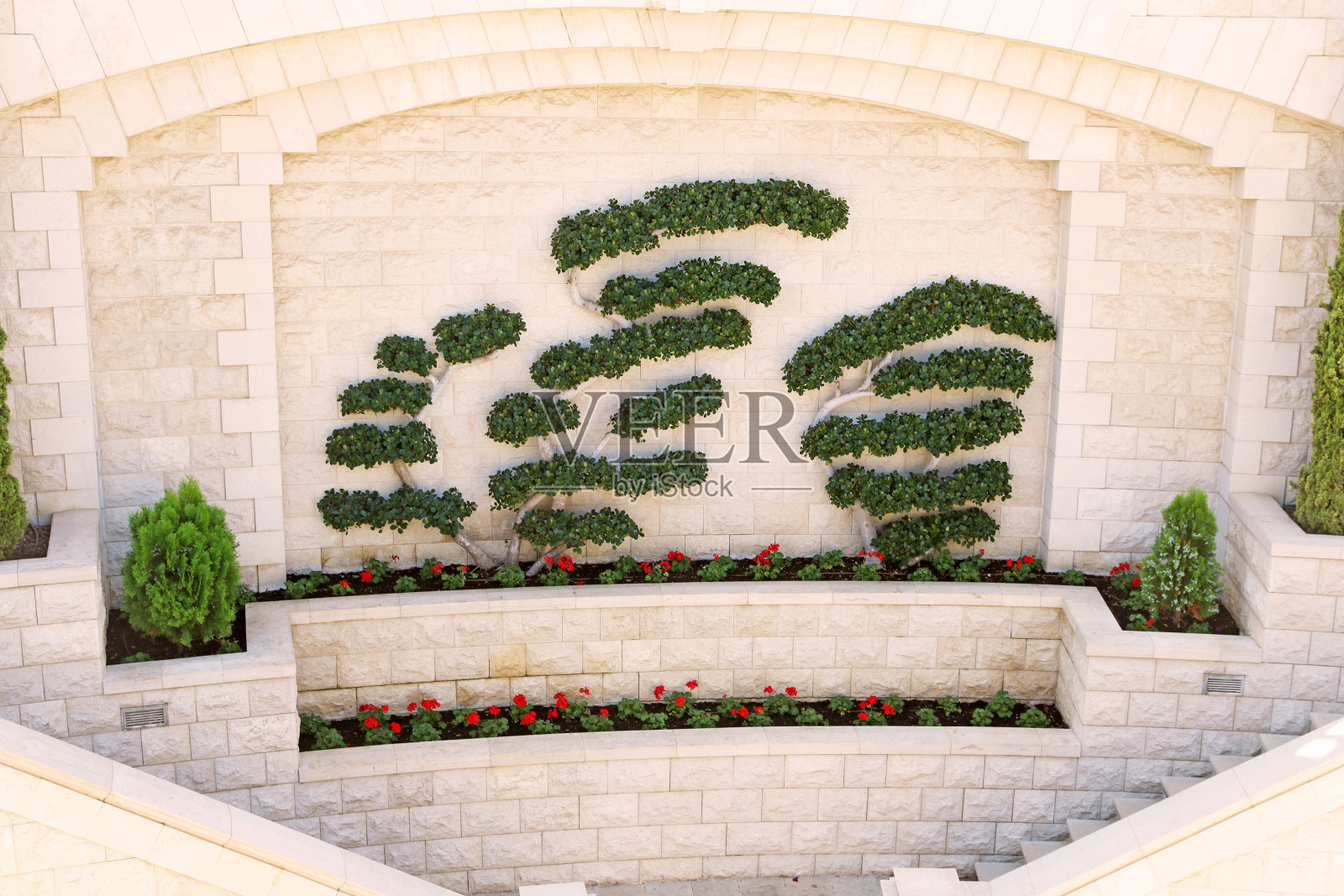 盆景树在巴哈花园在阿克里(Akko)，海法，以色列照片摄影图片