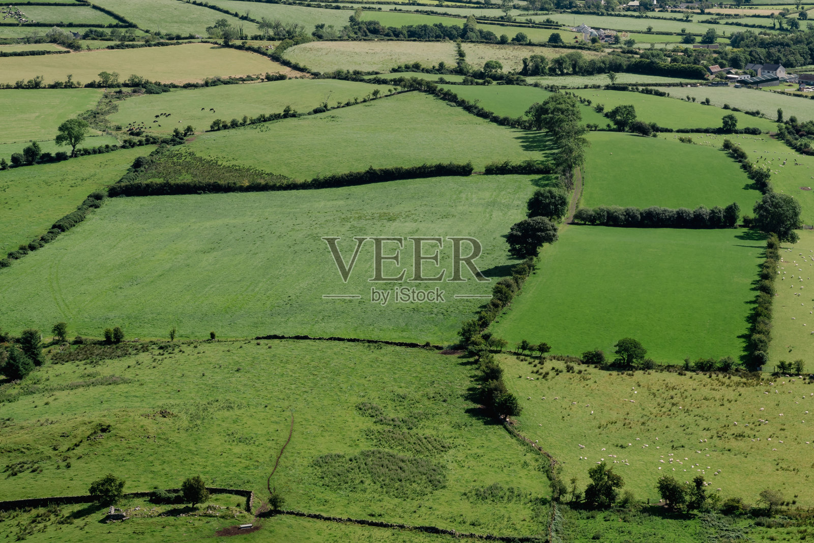 拼凑的乡村景观的牧场，安特里姆县，北爱尔兰。照片摄影图片