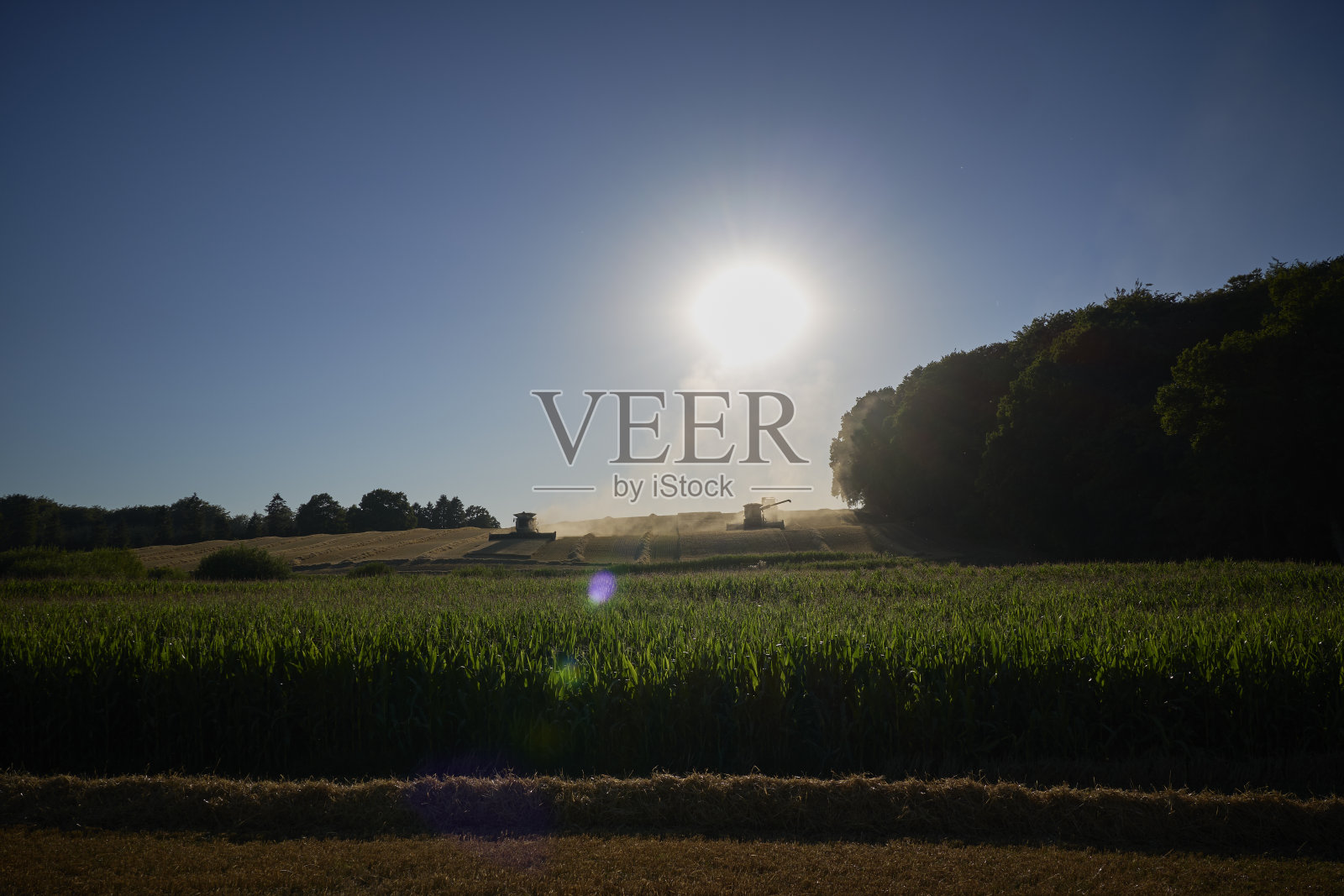 加载作物照片摄影图片