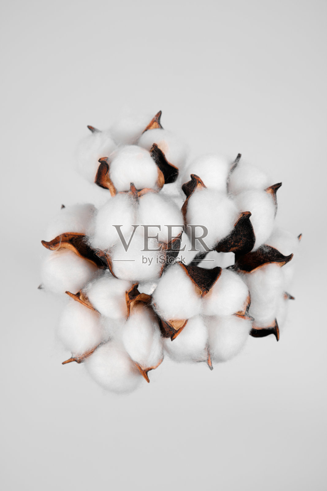 白色背景的棉花。照片摄影图片