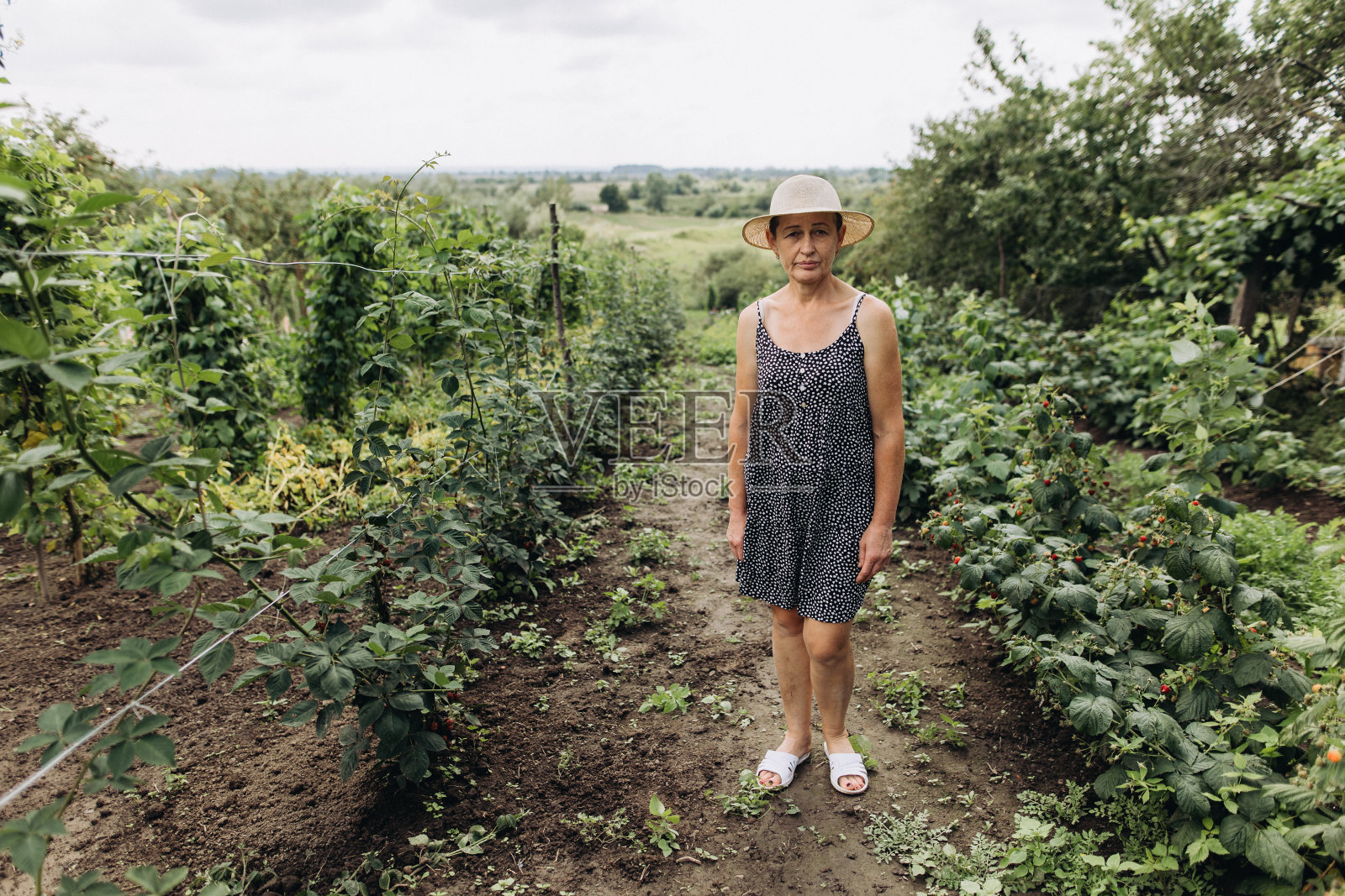 农村的有机菜园里的女人照片摄影图片
