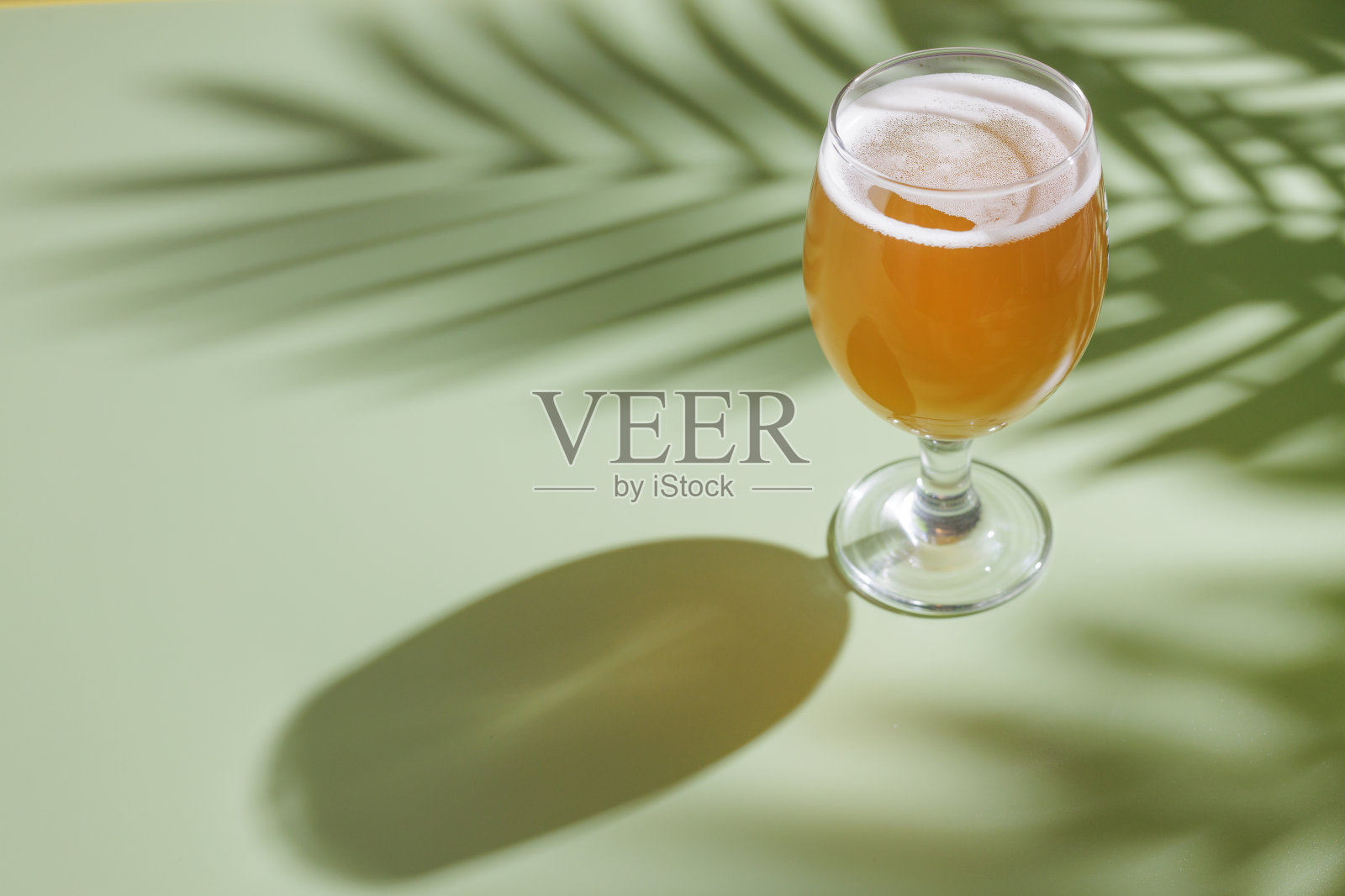 一杯啤酒在浅绿色的背景，从棕榈树的阴影，俯视照片摄影图片