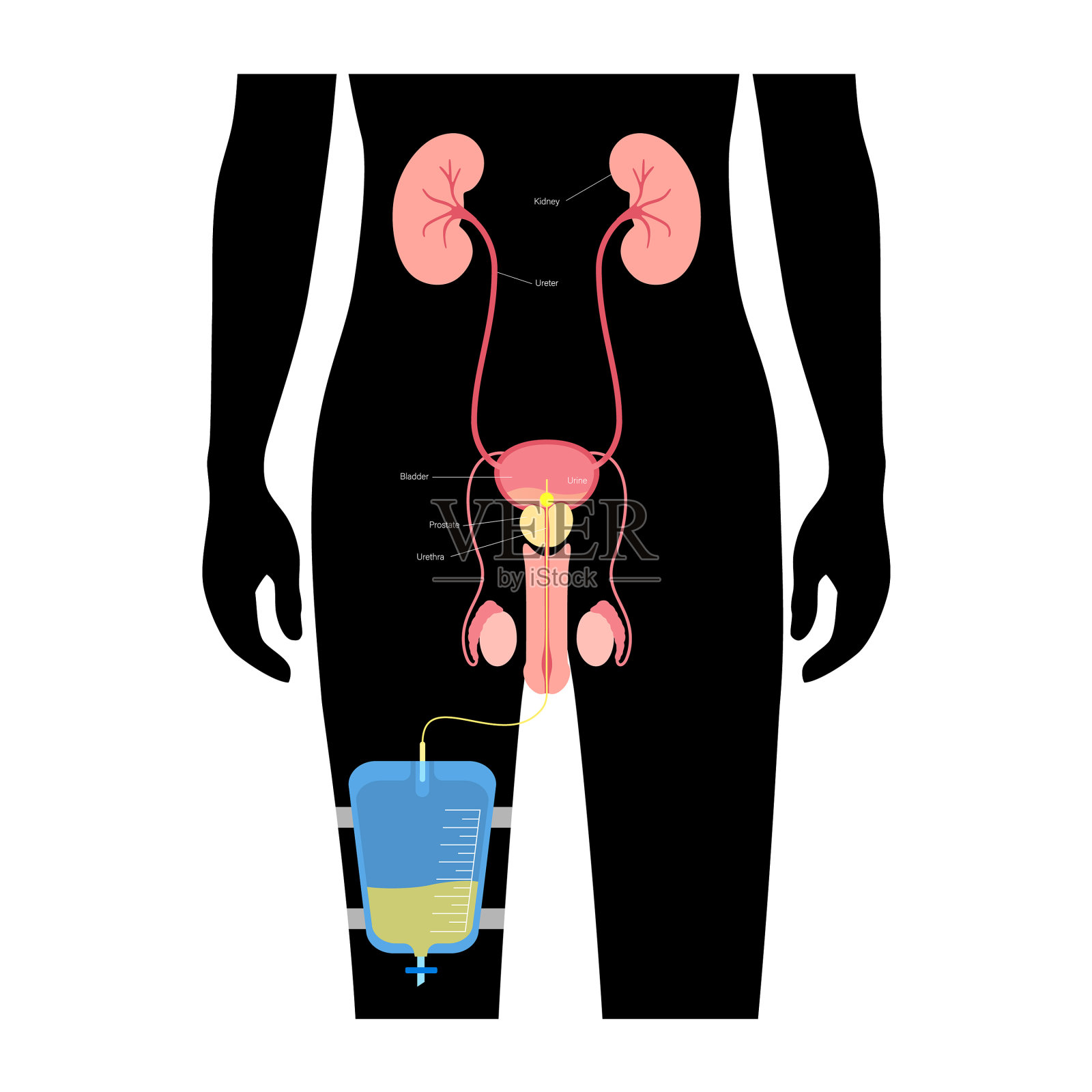 尿引流袋设计元素图片