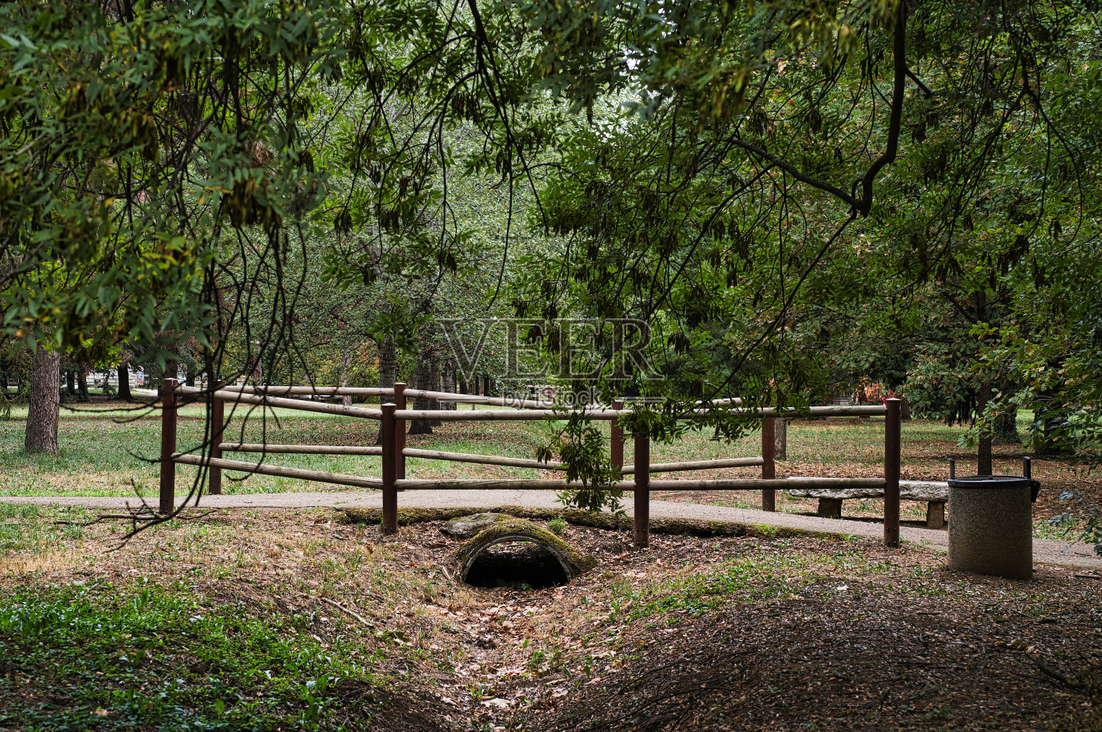 乡间小路照片摄影图片