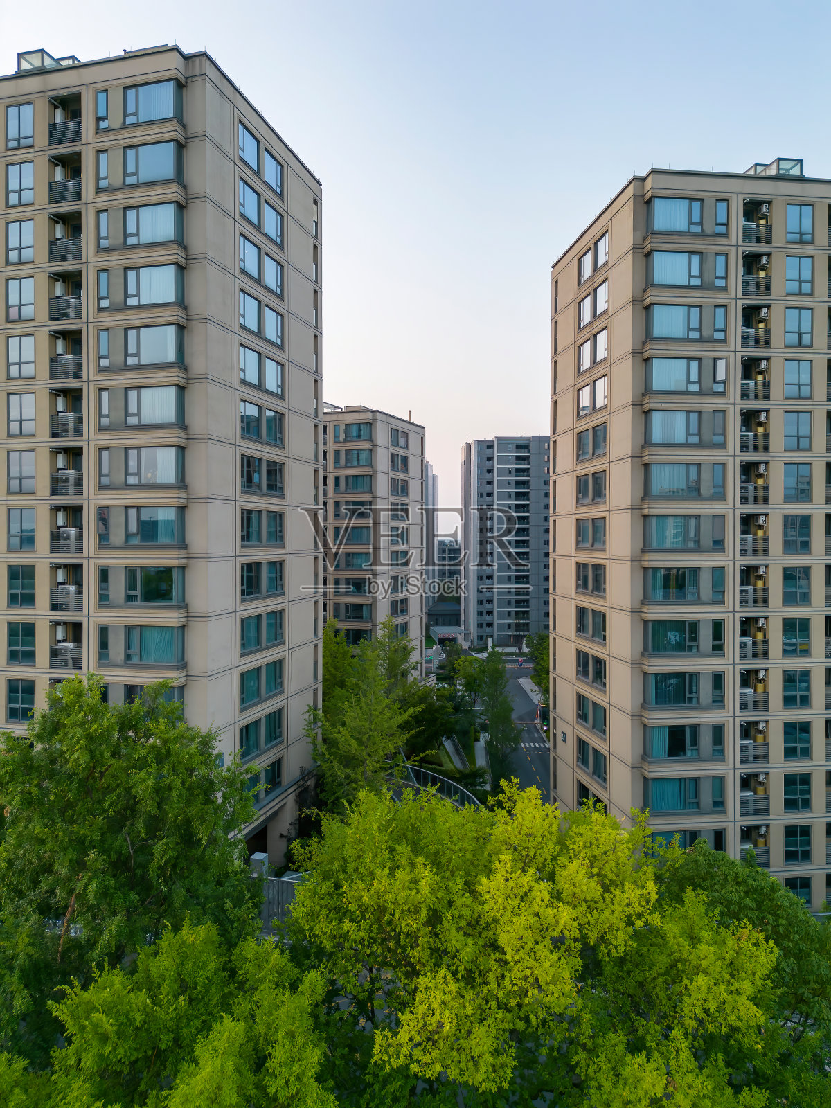 绿树丛中的住宅照片摄影图片