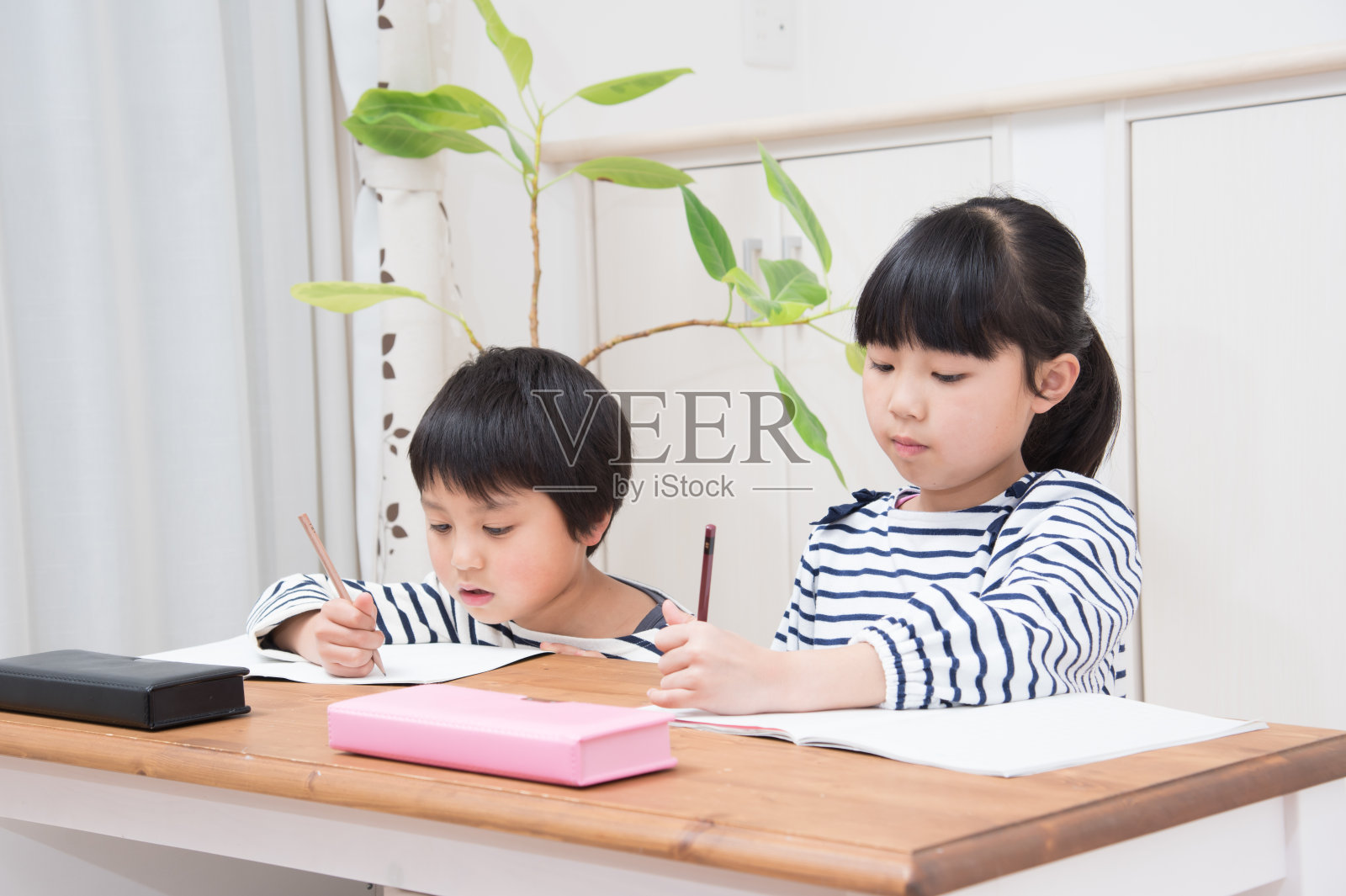 小学的男孩和女孩正在学习照片摄影图片