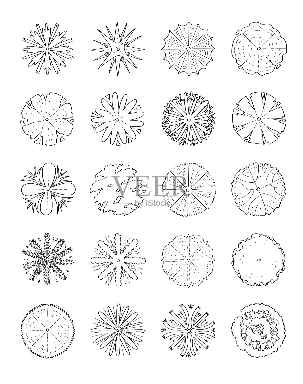 手绘的俯视图树