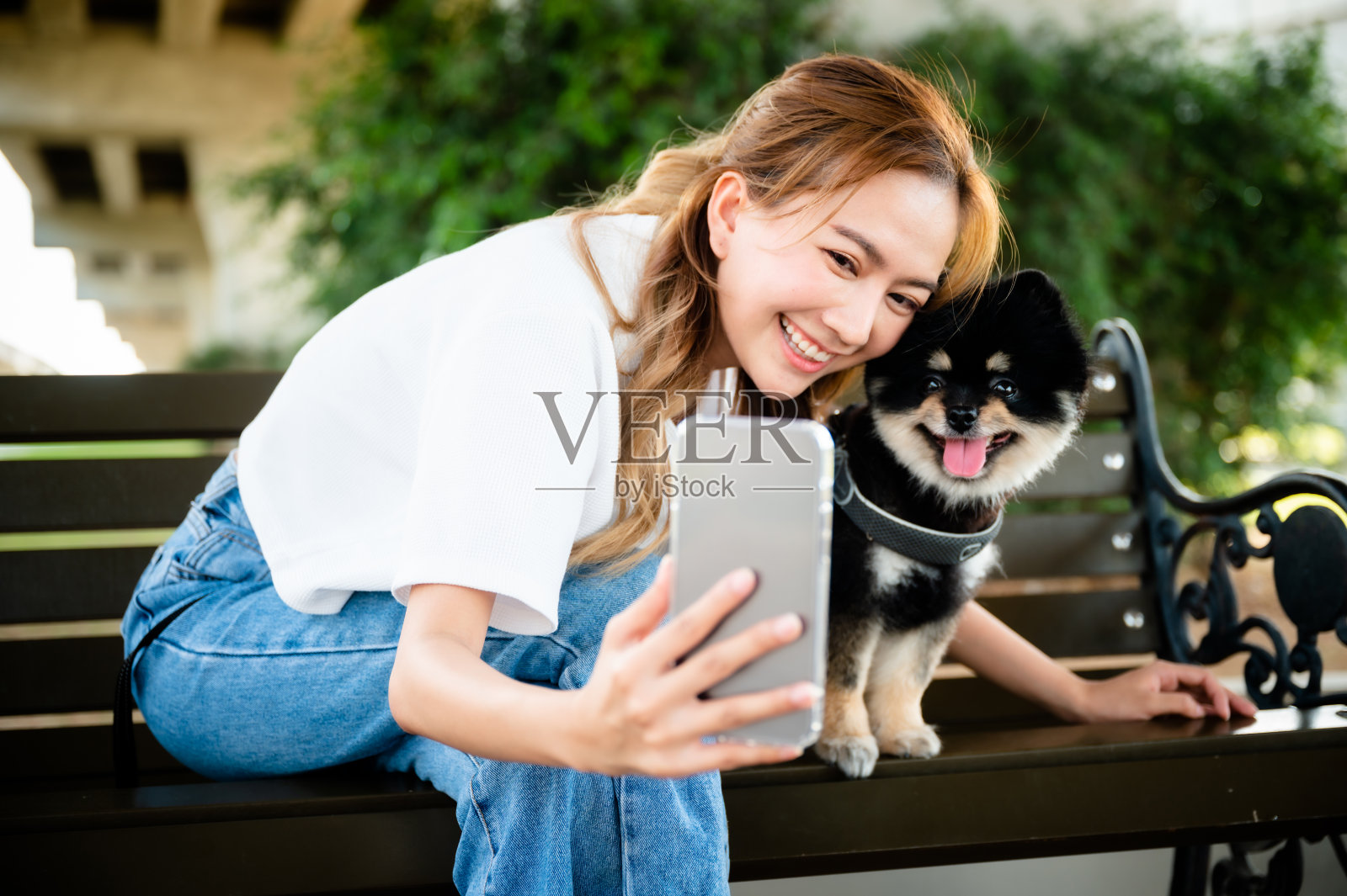 快乐的年轻亚洲女人坐在长椅上和照片自拍在公园里和她的狗。宠物情人的概念照片摄影图片