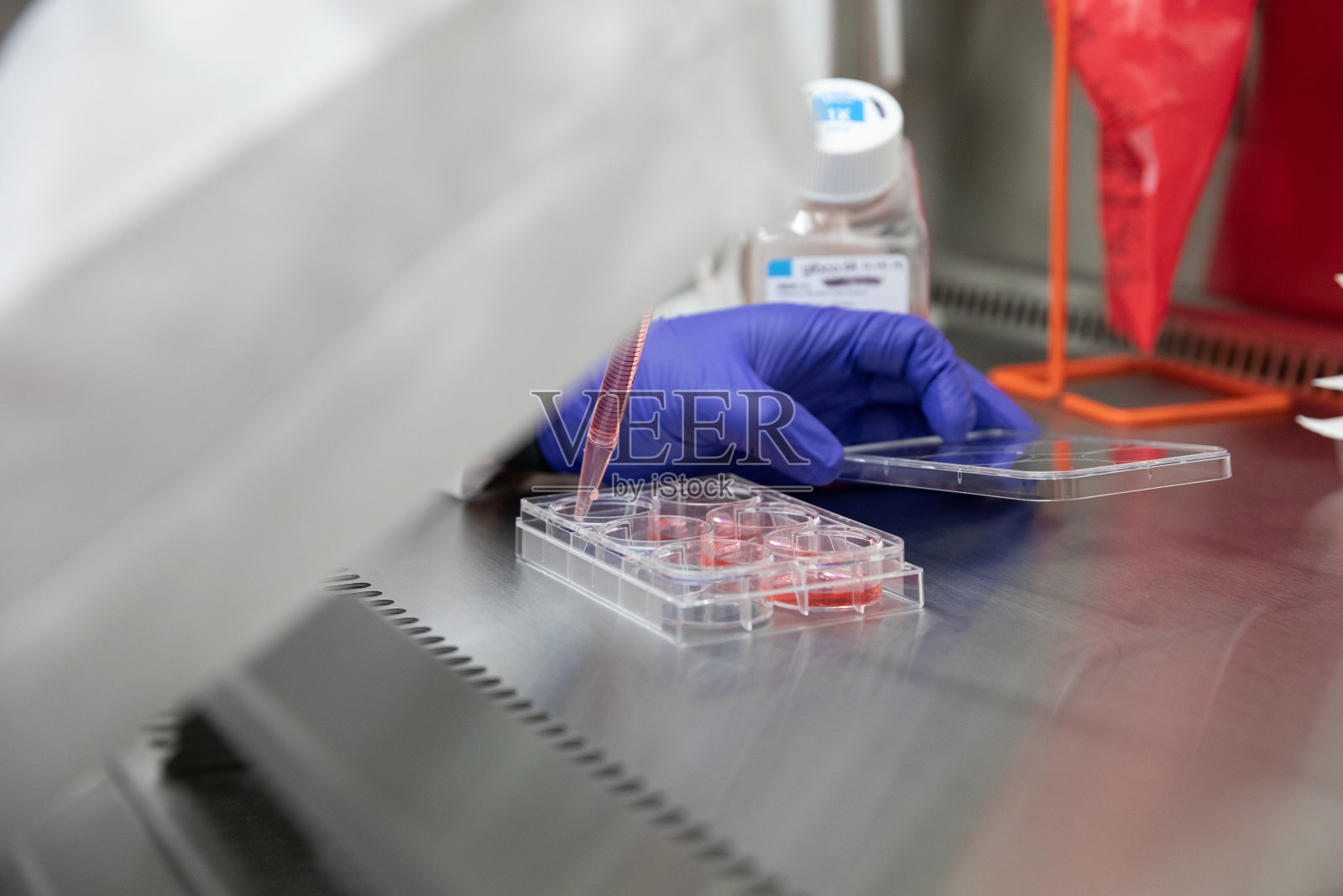 实验室COVID-19检测方案照片摄影图片