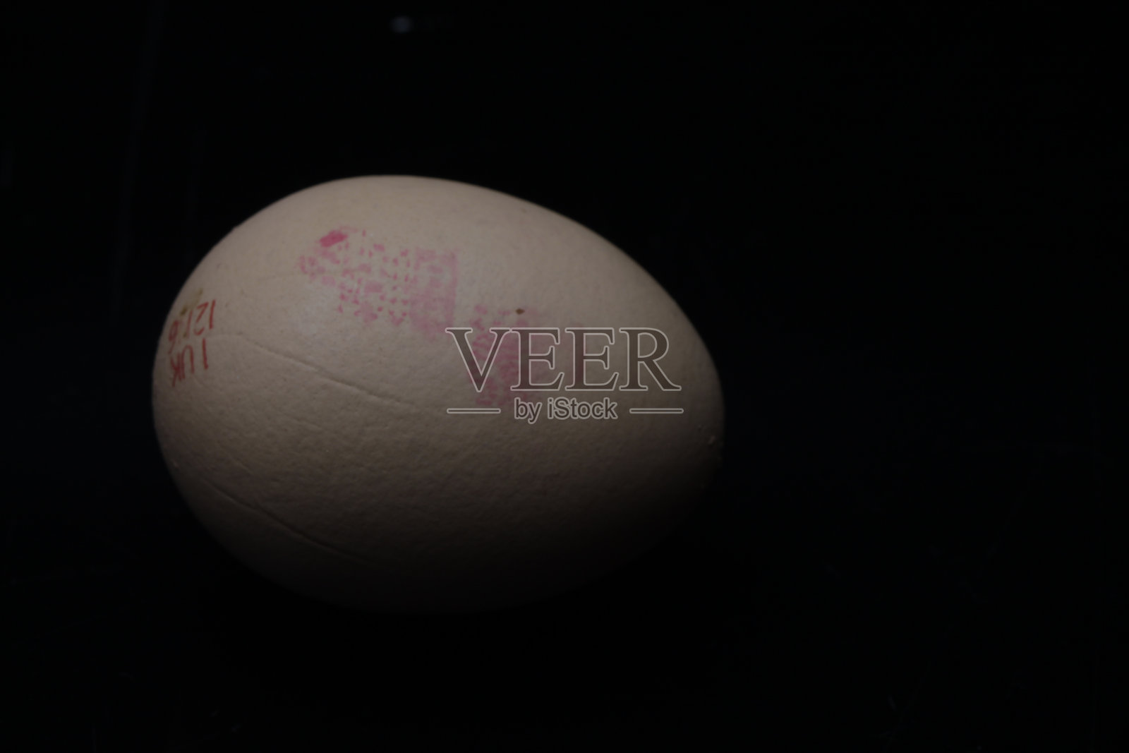 鸡蛋在黑暗中照片摄影图片