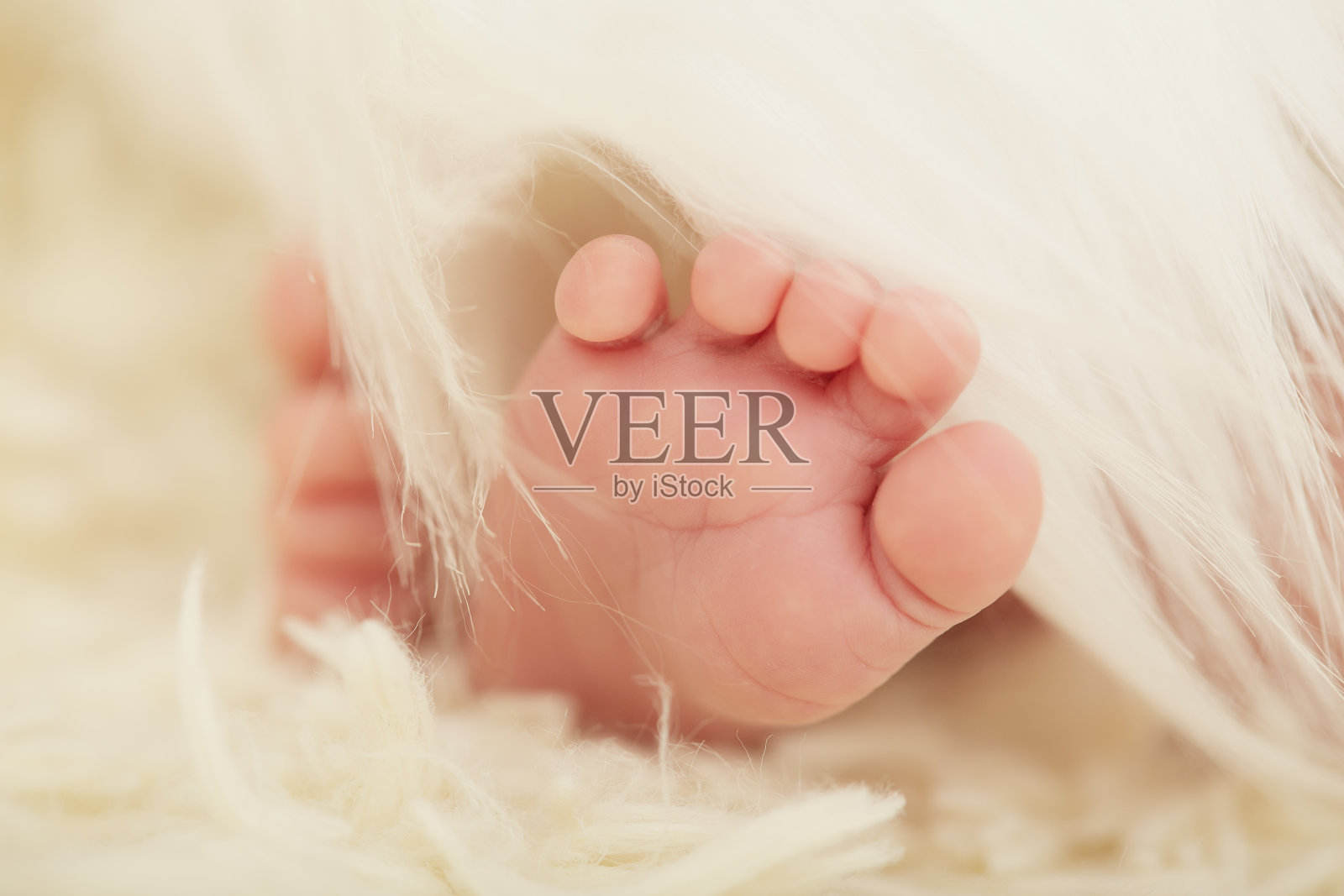 新生儿的特写镜头照片摄影图片