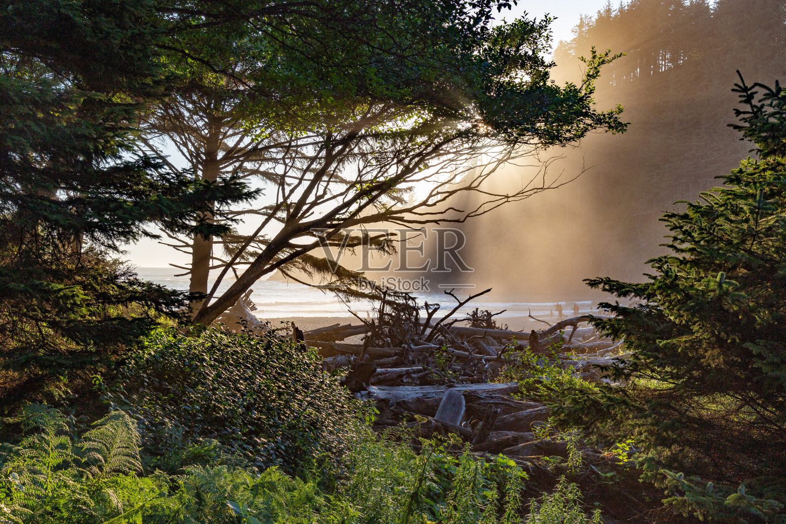 俄勒冈海岸印第安海滩的日落照片摄影图片