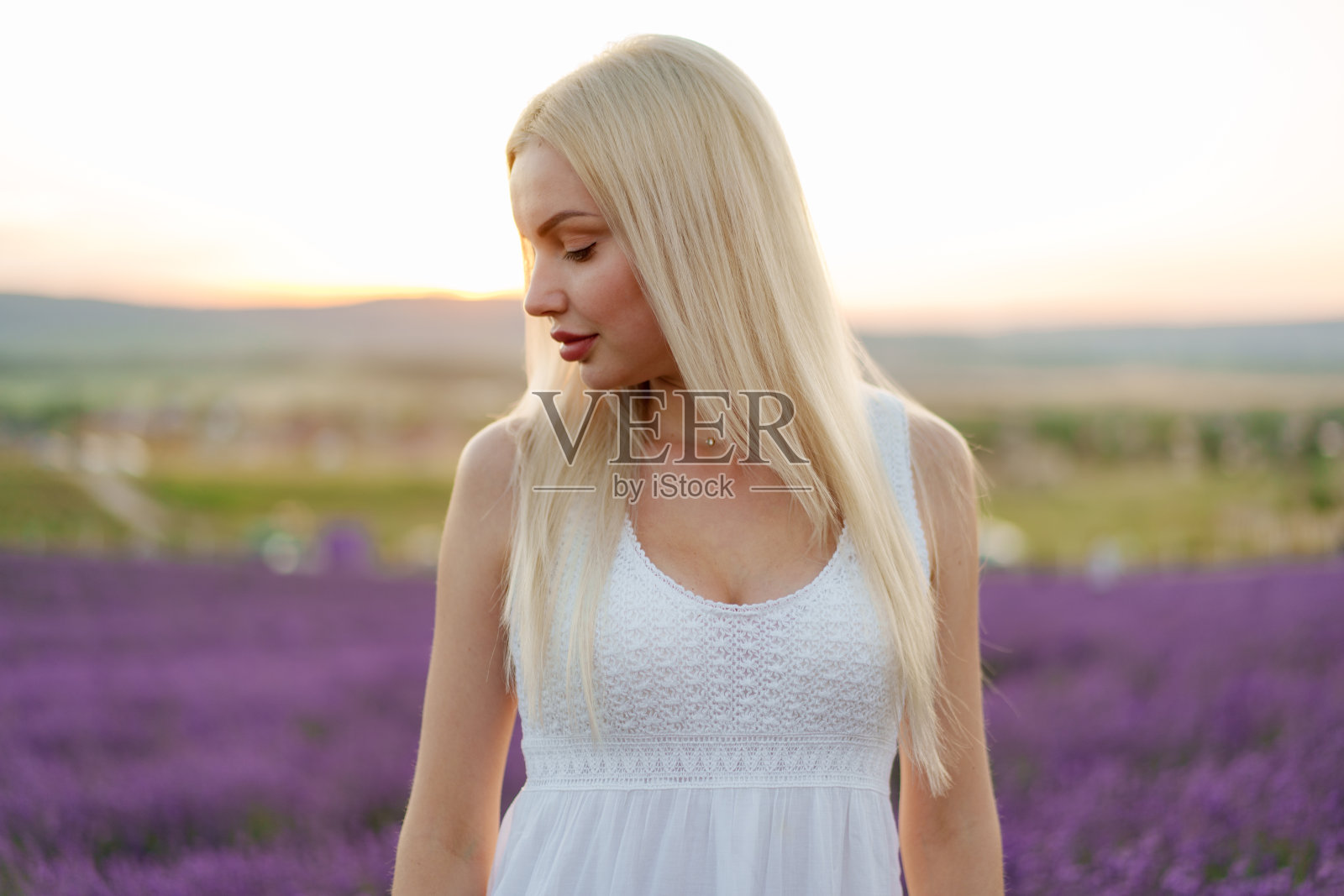 迷人的年轻女子穿着夏装站在薰衣草地里照片摄影图片