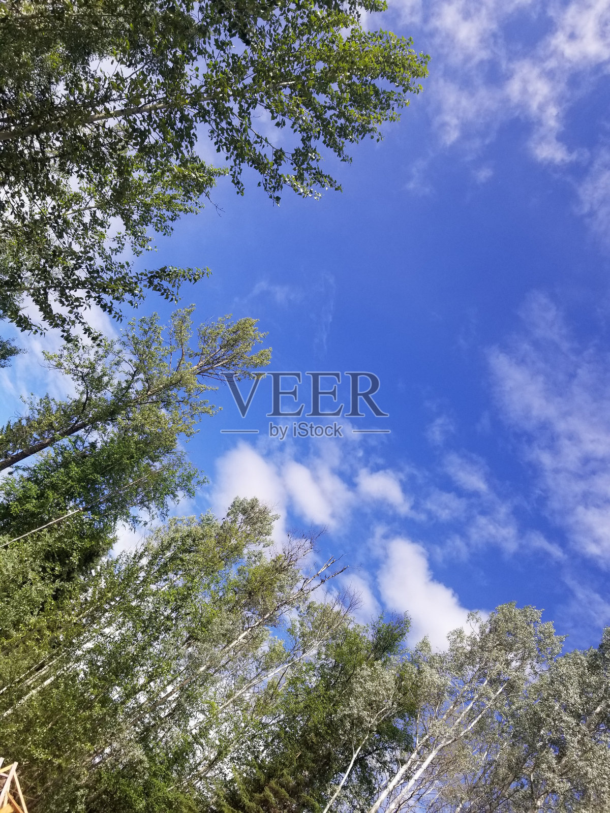 加拿大不列颠哥伦比亚省的云景照片摄影图片