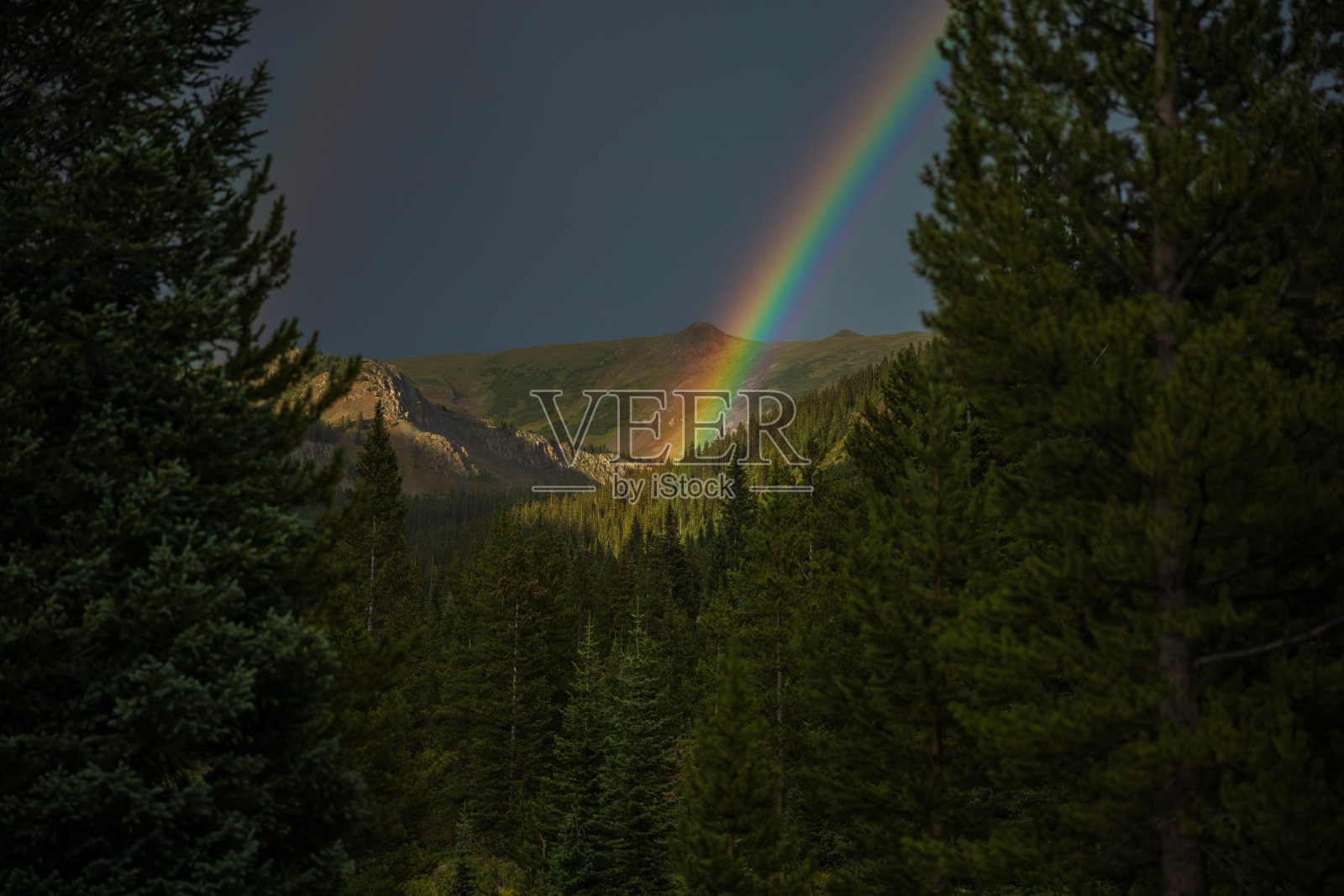 高山森林山谷中的彩虹照片摄影图片