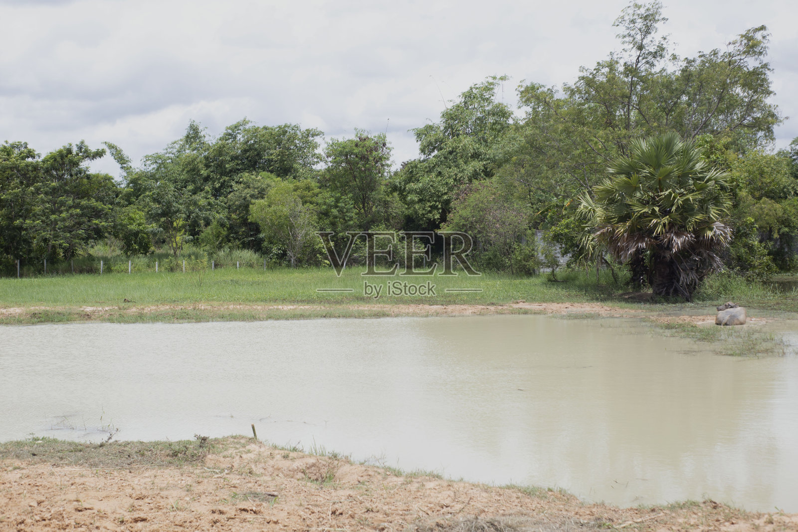 河照片摄影图片