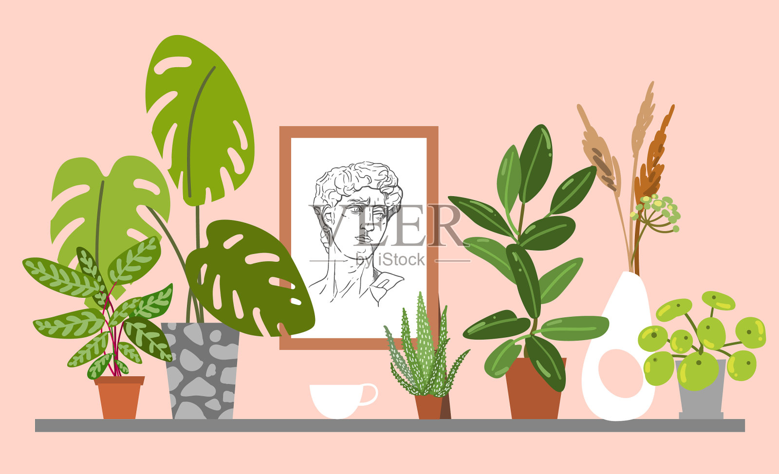 植物组成室内植物插画图片素材