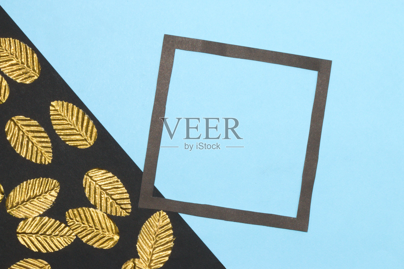 黑色和蓝色的底色，在黑色部分上的金色叶子，在蓝色黑色的画框上作为复制空间照片摄影图片