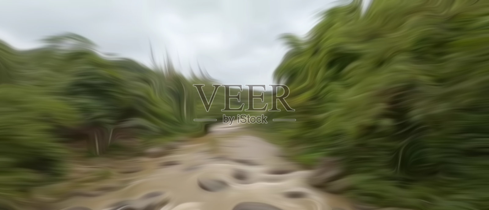 在森林中间流过的那条河照片摄影图片