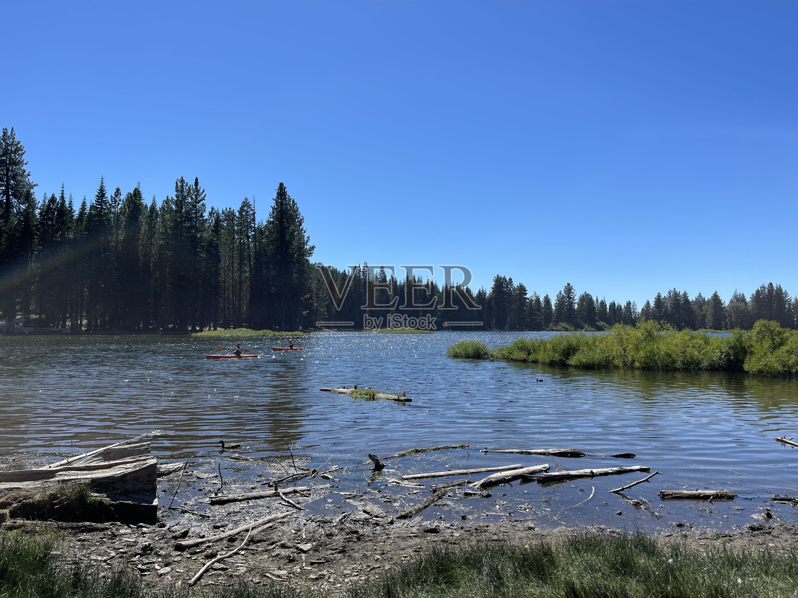 森林里的小溪照片摄影图片