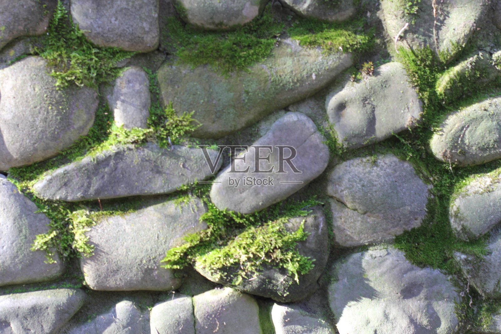 砖照片摄影图片