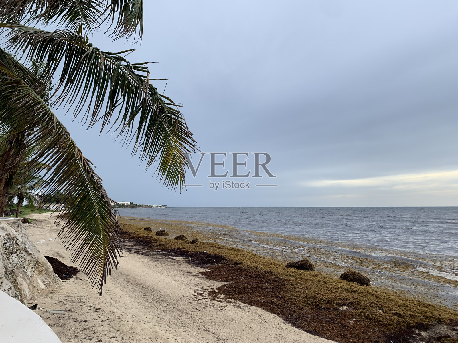 莫雷洛斯港海滩照片摄影图片