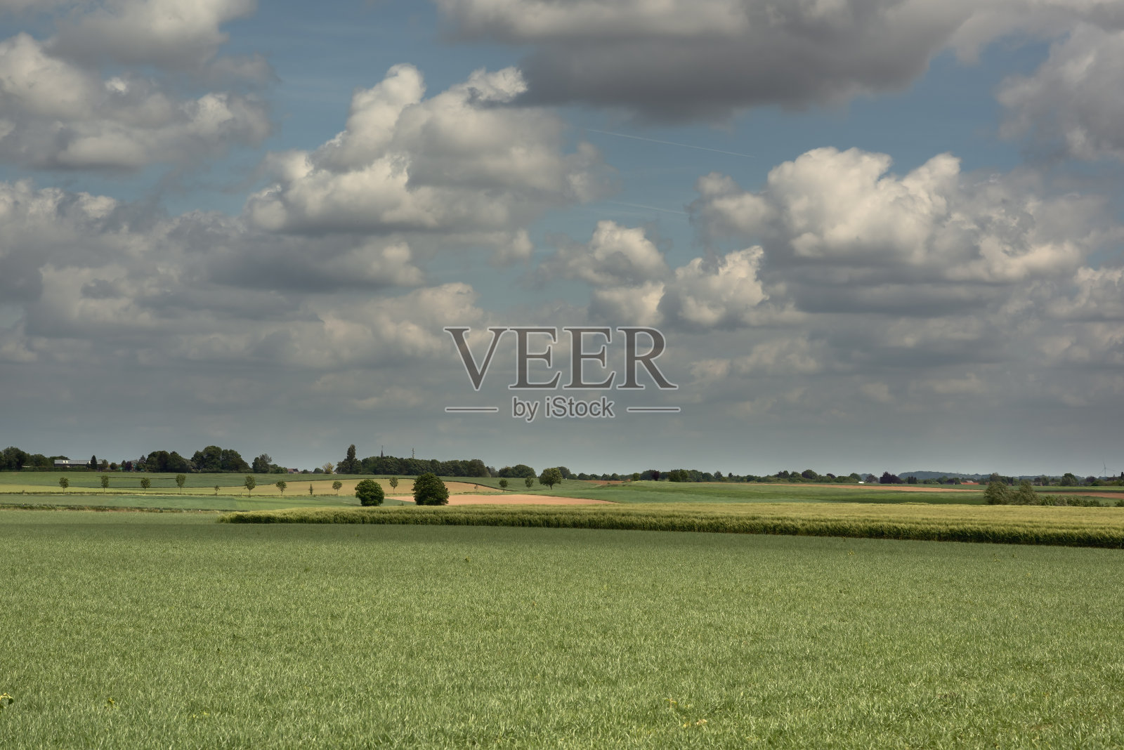 蓝色多云的天空下，连绵起伏的乡村景观与农田和树木。照片摄影图片