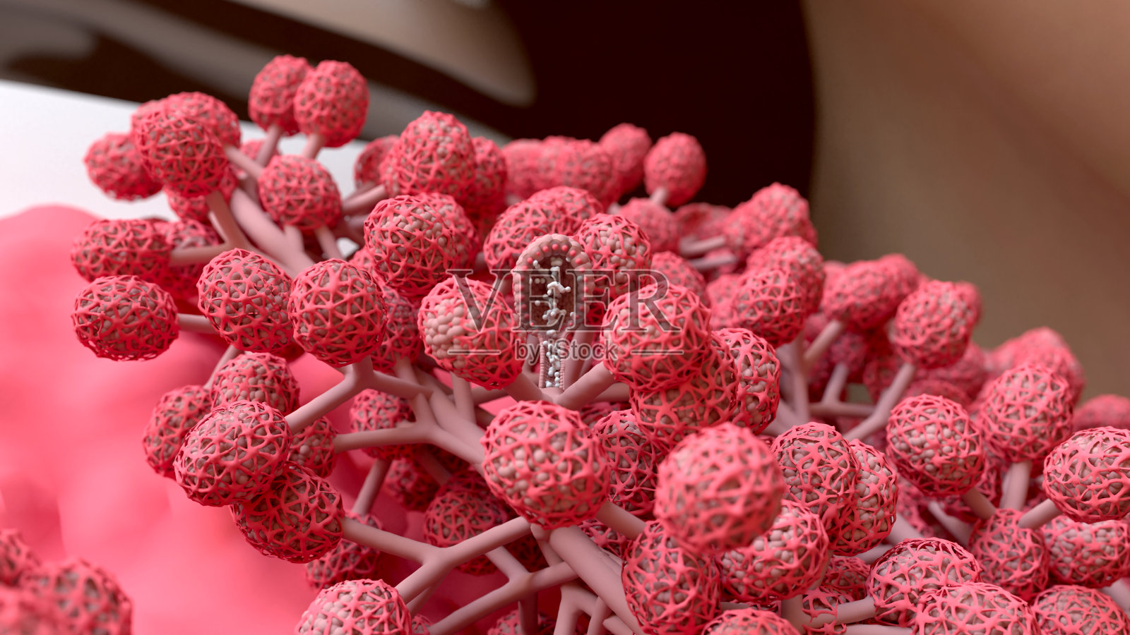 母乳喂养，哺乳的妇女，哺乳的过程中产生和释放的乳汁从乳房的腺体。照片摄影图片