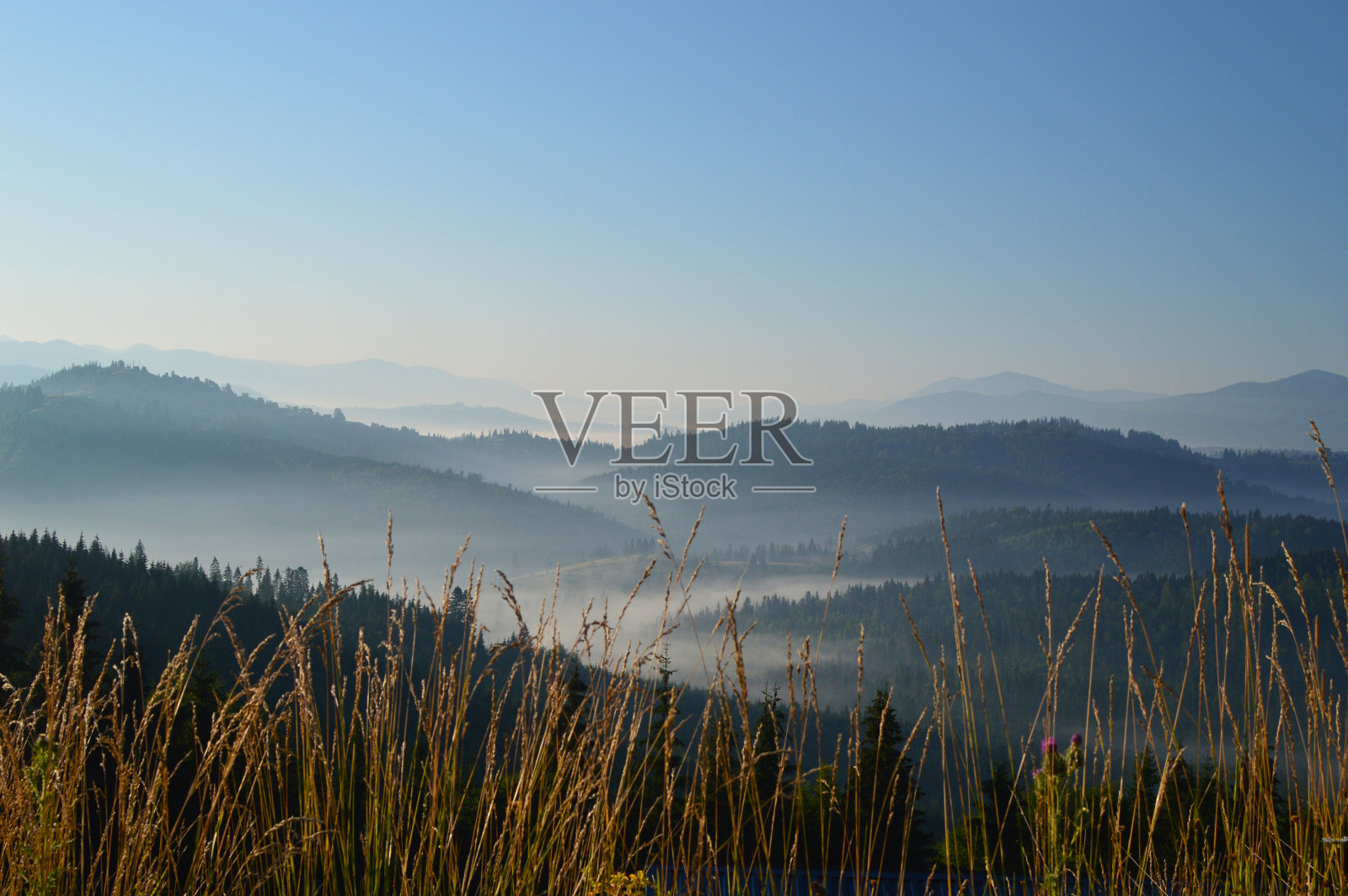 喀尔巴阡山脉的日出。山峰的剪影和背景中的雾。前景是黄色的草照片摄影图片