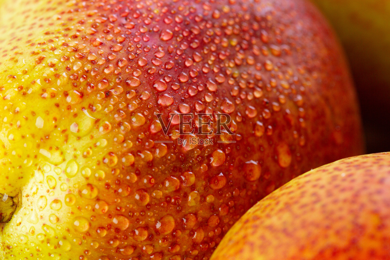 背景与梨在水滴照片摄影图片