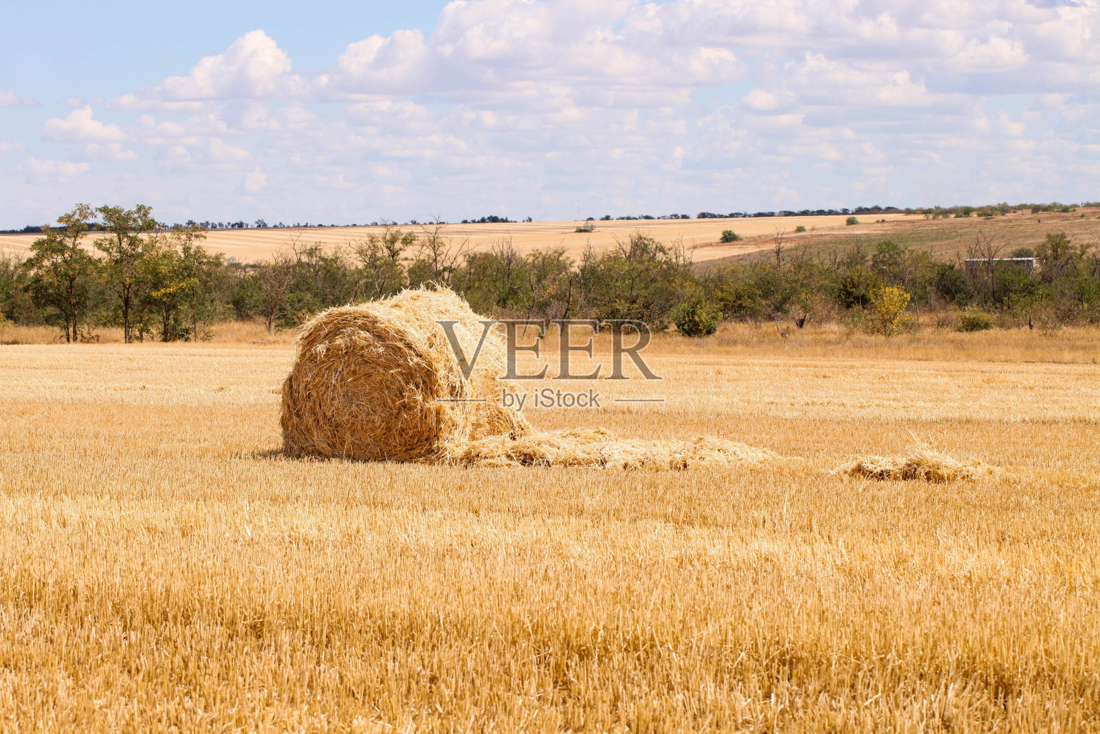 夏日田野里的干草堆照片摄影图片