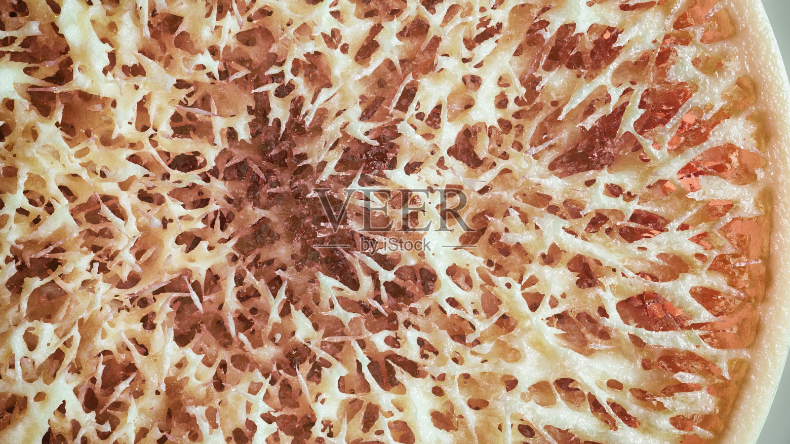 骨质疏松-骨骼横截面- 3D渲染照片摄影图片