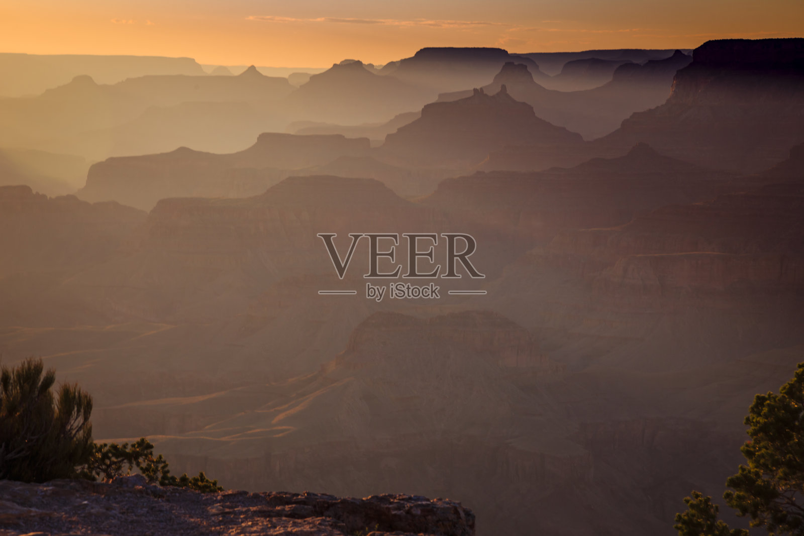 大峡谷南缘剪影在金色日落与树，亚利桑那州，美国照片摄影图片