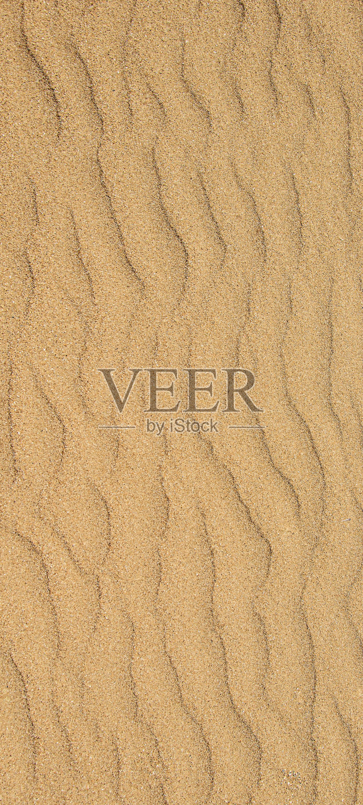 沙滩上粗糙黄沙的纹理。沙丘的背景照片摄影图片