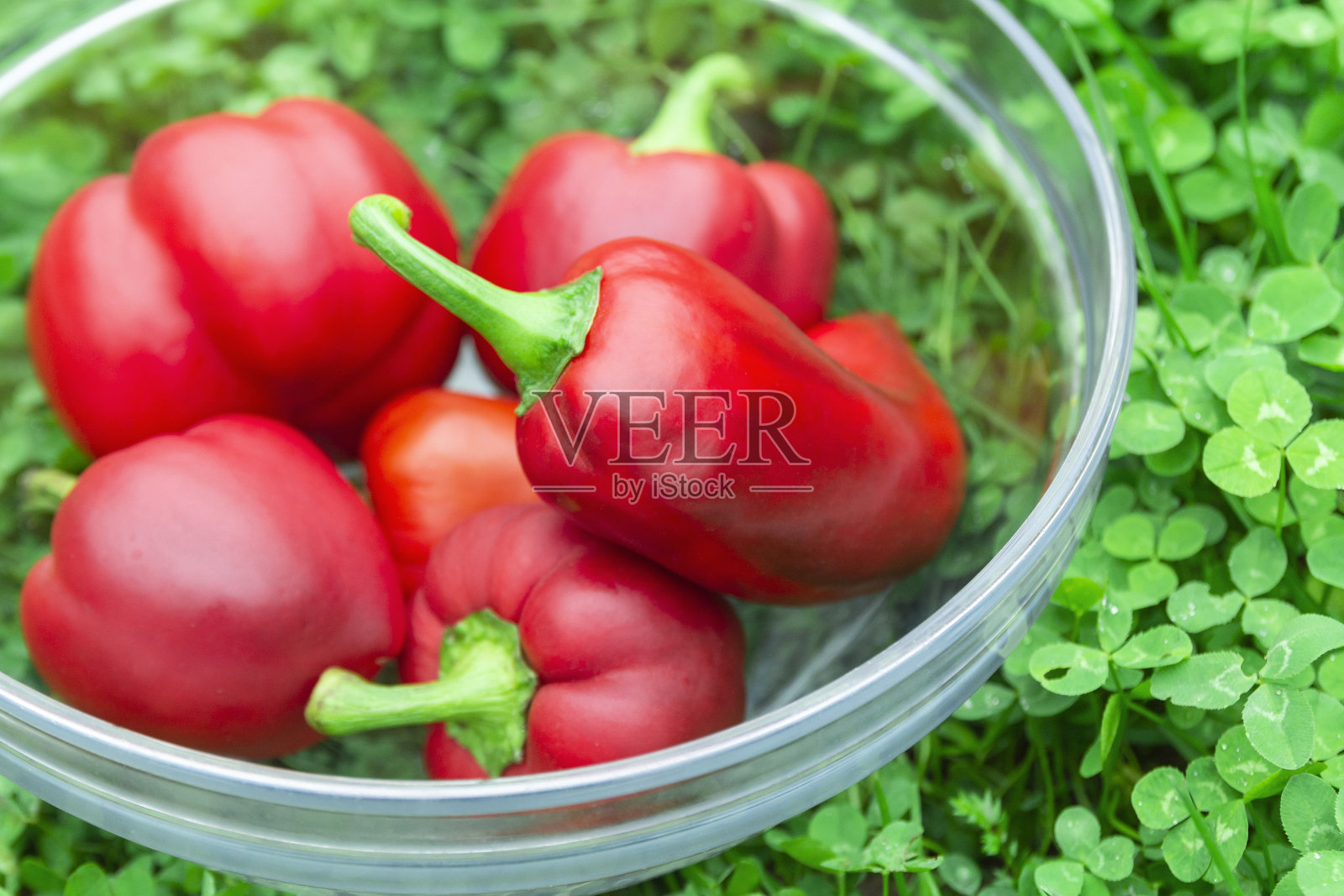 绿草地上的玻璃篮子里放着红辣椒。蔬菜的素食者。灯笼椒红甜，有益健康。照片摄影图片