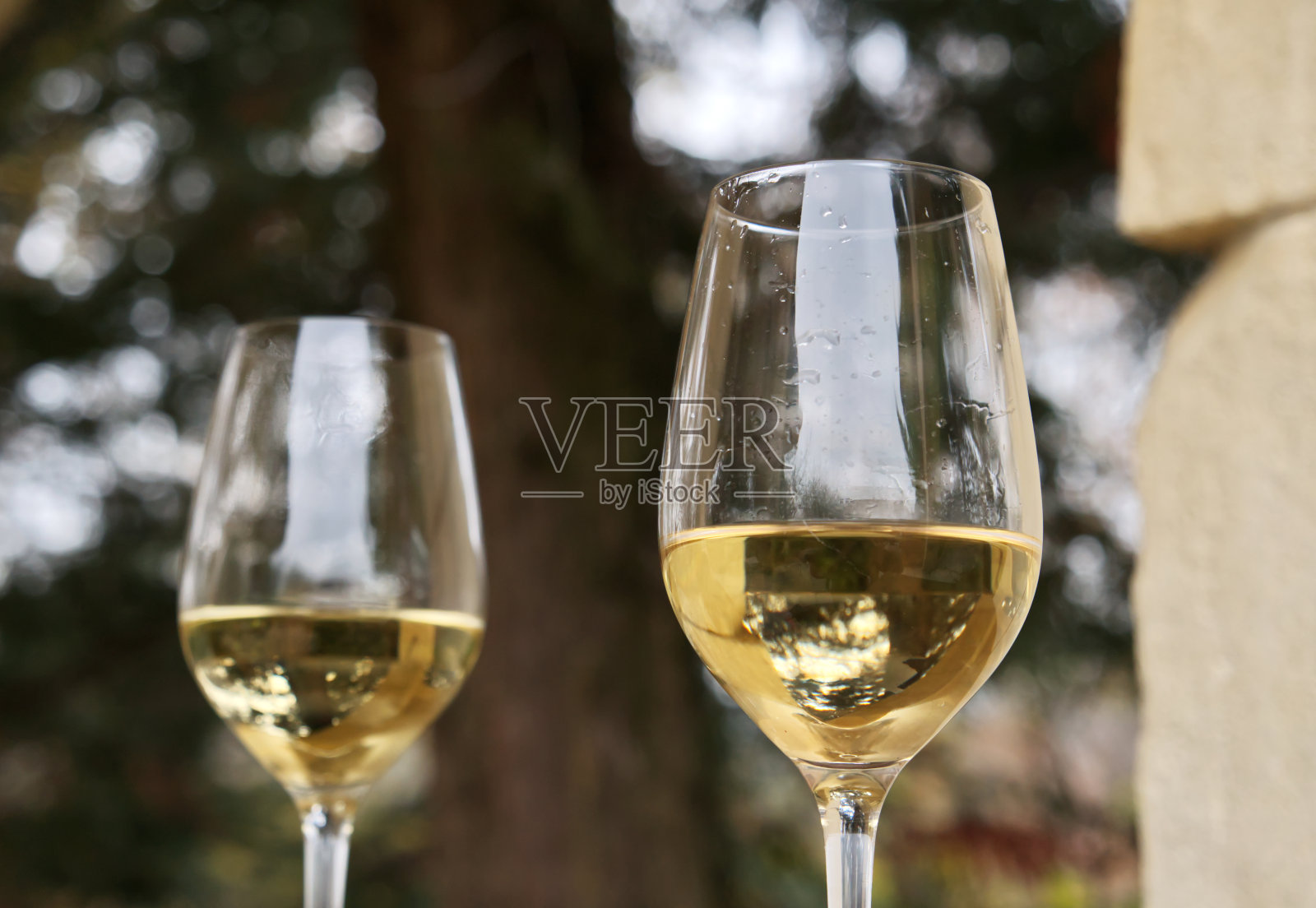 用白葡萄酒在自然环境中的特写镜头照片摄影图片