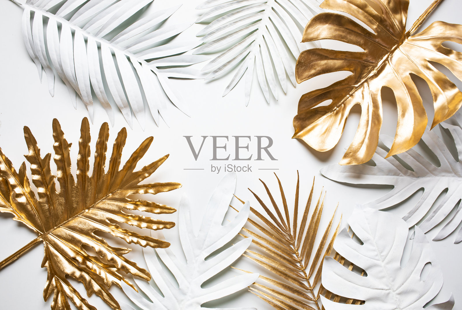 收集热带树叶，树叶优雅的风格与金色，银色的颜色。抽象的树叶装饰设计照片摄影图片