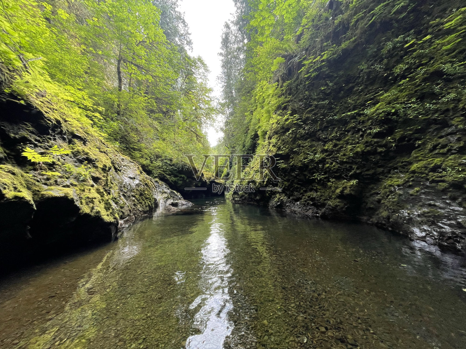 太平洋西北部美丽的河谷照片摄影图片