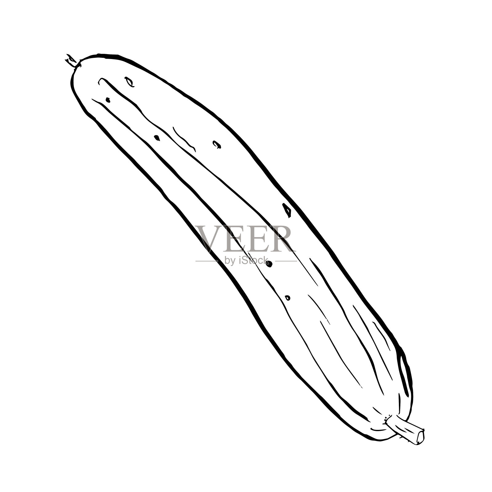 黄瓜草图。单色轮廓黄瓜孤立在白色插画图片素材