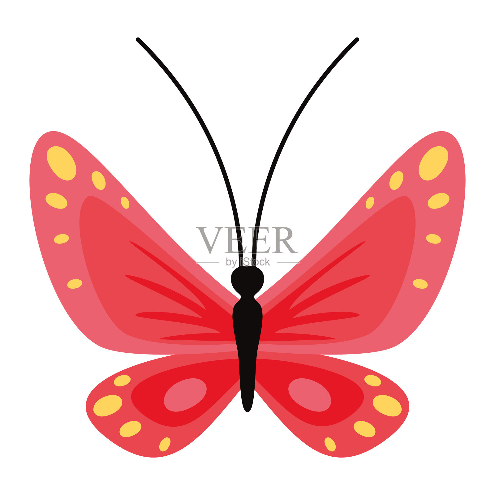 画一只蝴蝶插画图片素材