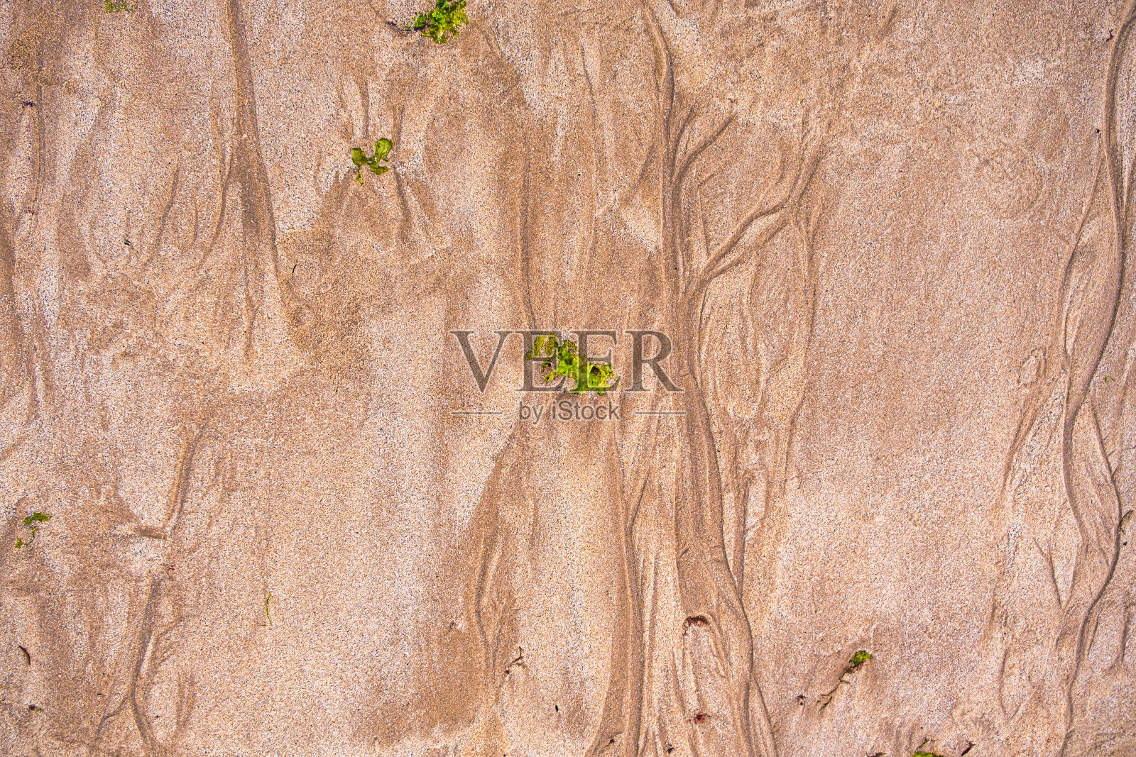 退潮后沙滩上沙子的纹理照片摄影图片