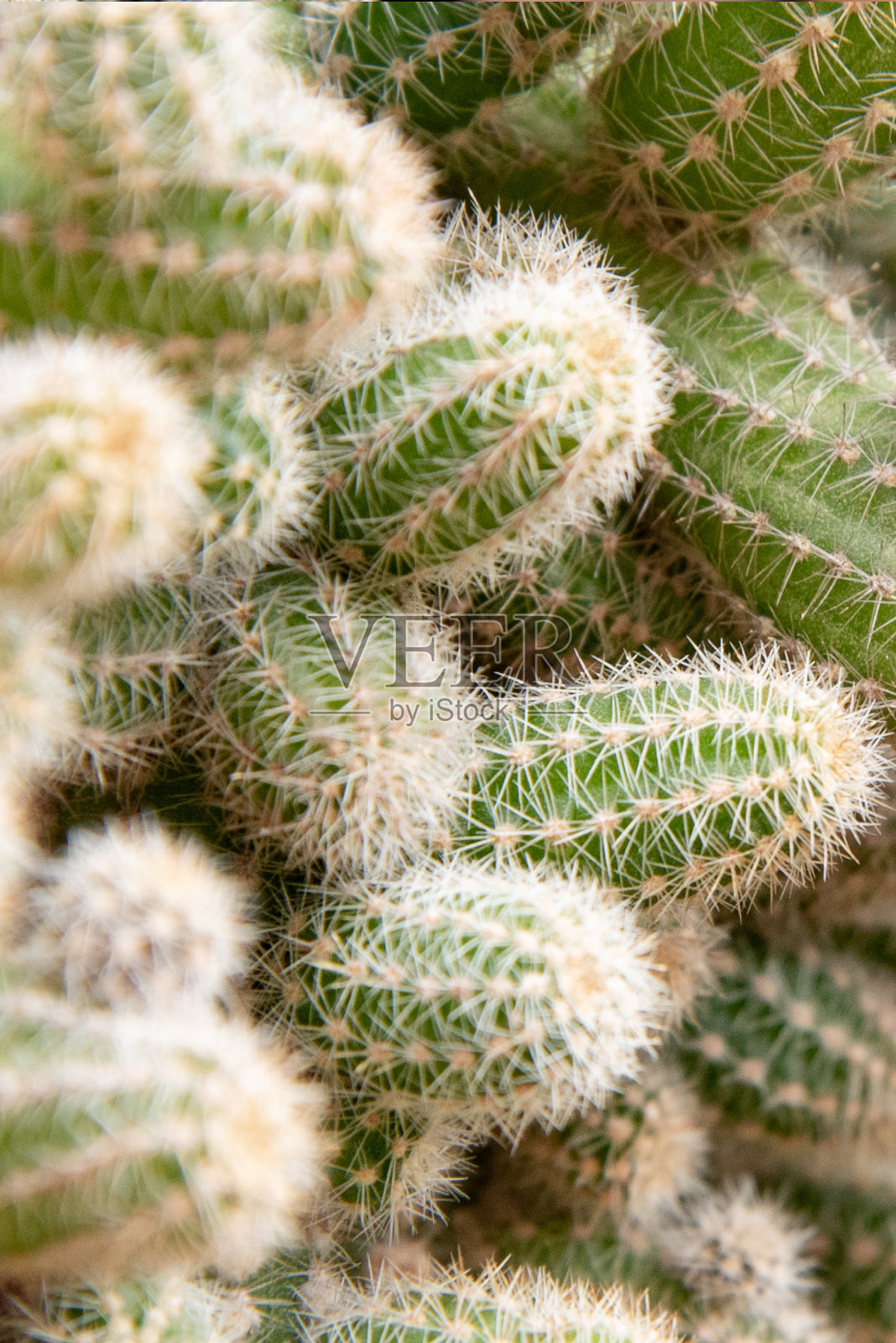 宏工厂照片摄影图片