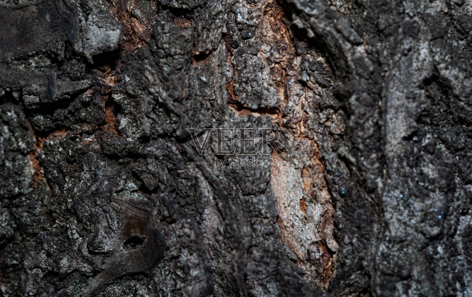 木材纹理照片摄影图片