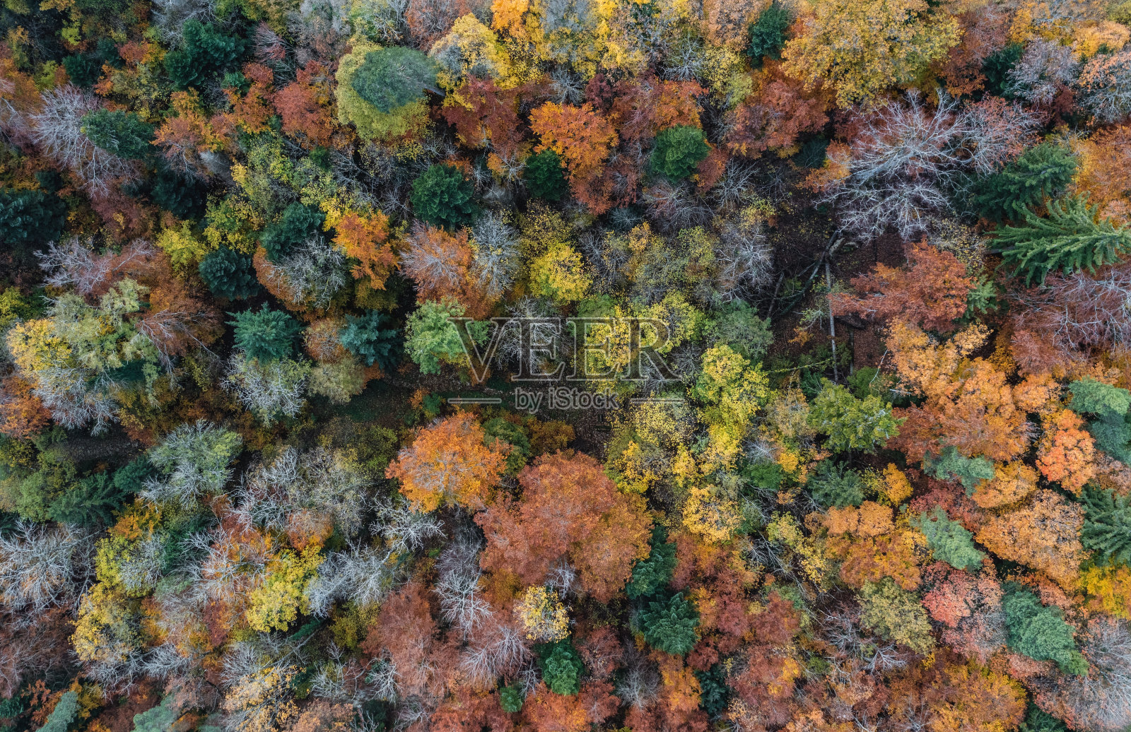 秋天的颜色照片摄影图片